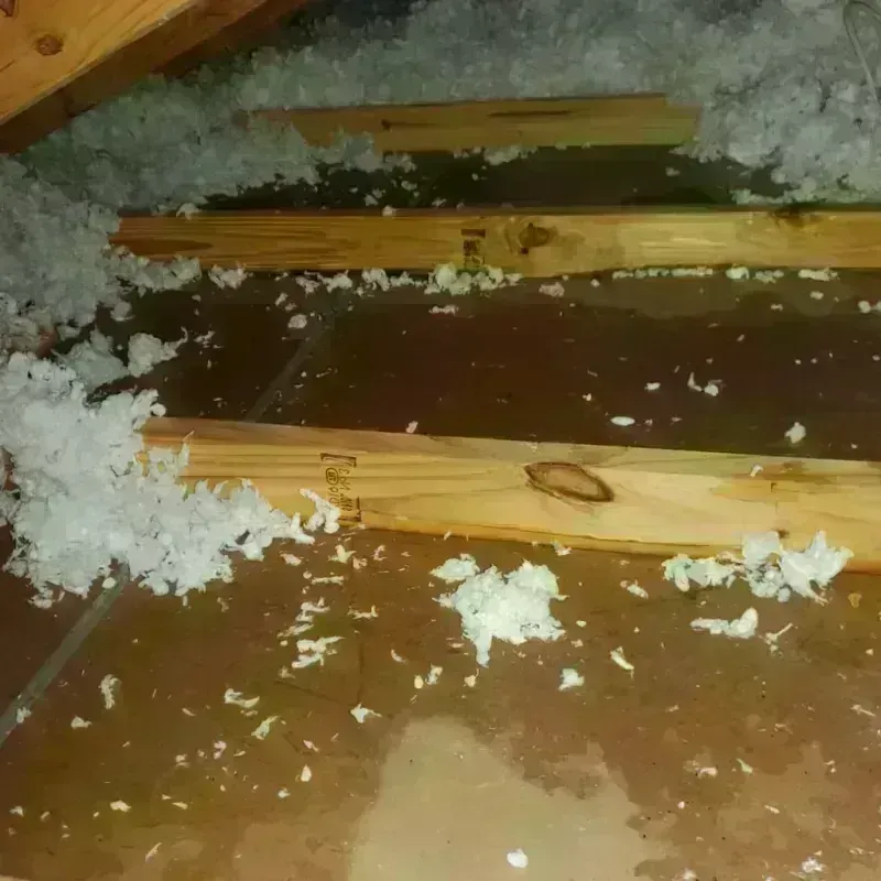 Attic Water Damage in Dawson, MN